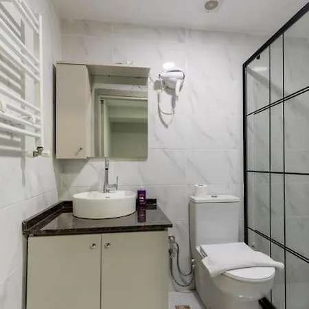 公寓 Cozy & Comfy Studio At Beyoglu - 61 伊斯坦布尔